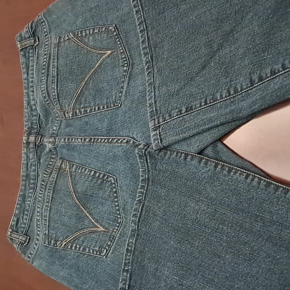 Venezia @ Lane Bryant Stretch Flare Jeans,